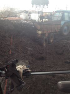 Купить торф Звенигород